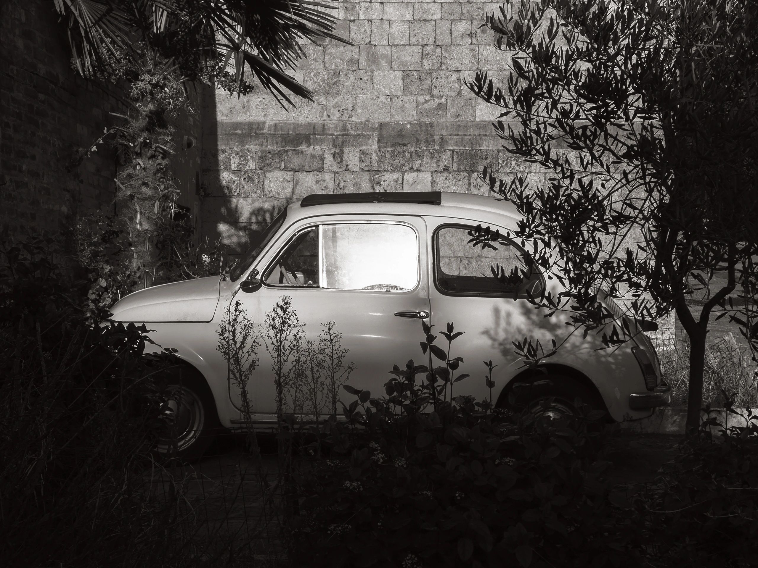 classic MINI 1960s